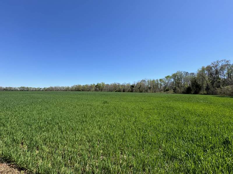 22.76 Acre Residential Lot on Rural Road Image
