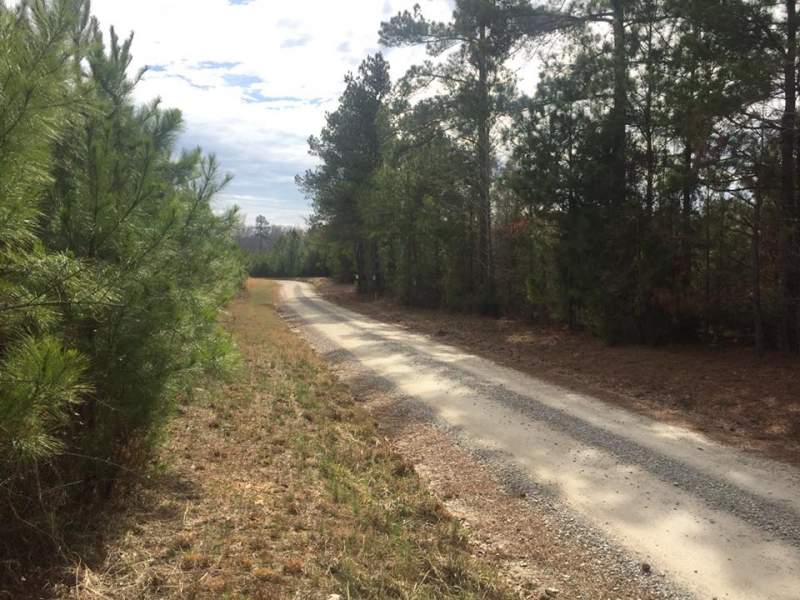 Large Tract minutes from Chapin, SC Image