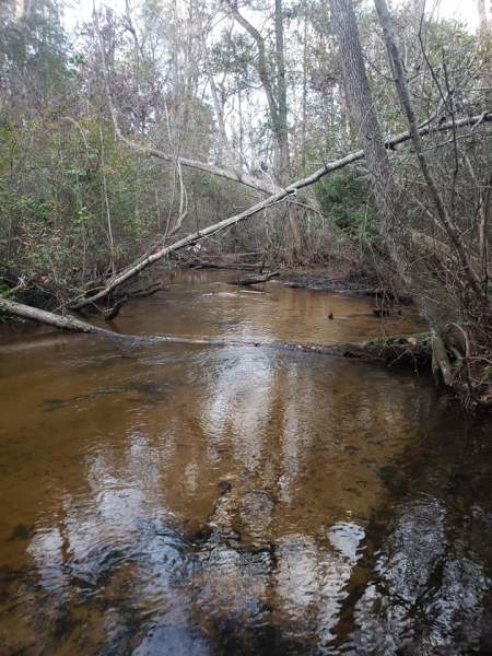 12.48 acres with Creek in Gilbert, SC Image