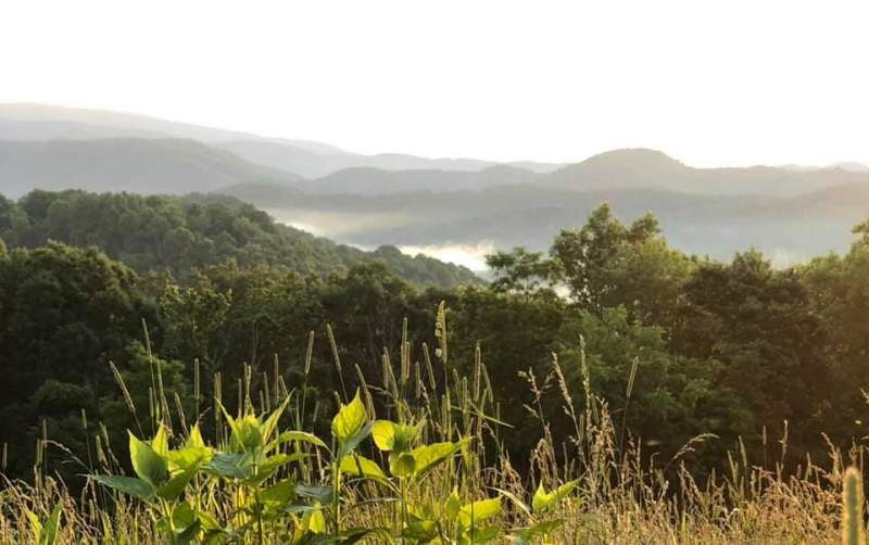 775 acres in Scenic Greenbrier County, WV Image
